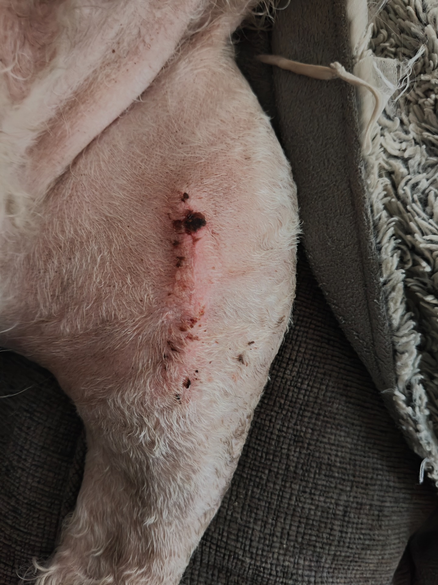 9.8.2025 Alkaa näyttämään paremmalta