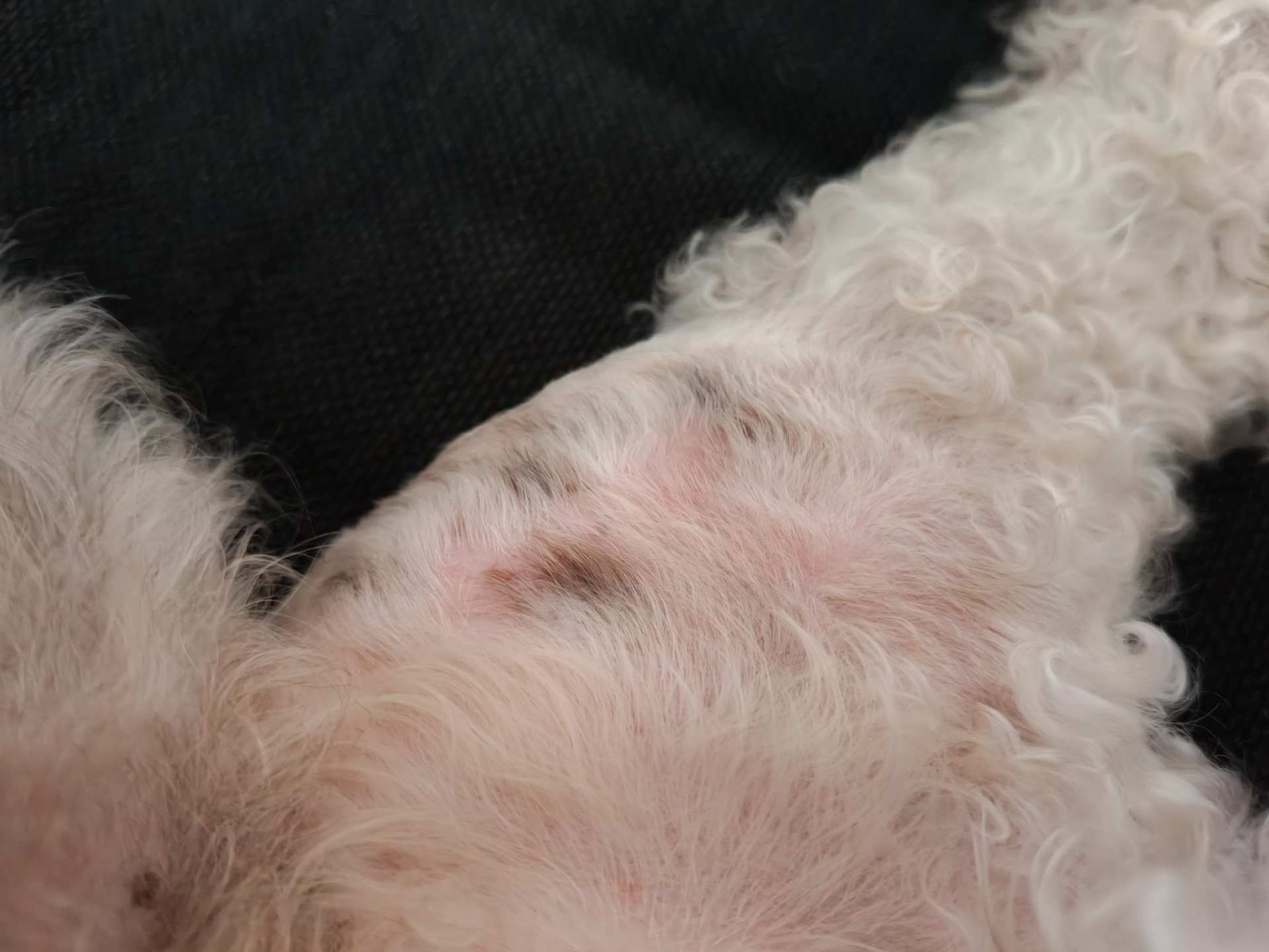 9.10.2025 Eipä tuosta enää erota edes leikkaushaavaa