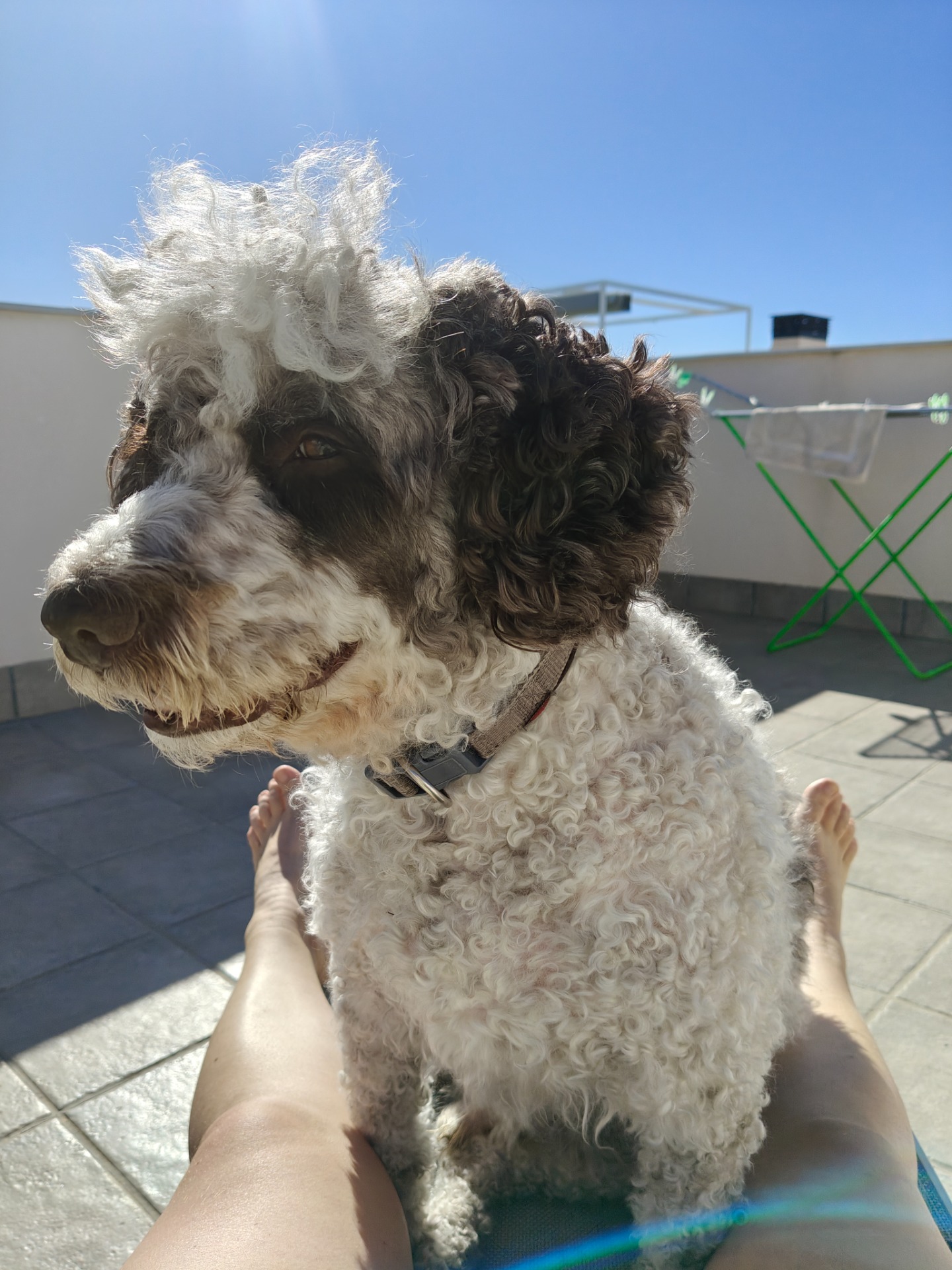 Topi torttutukka 🤭